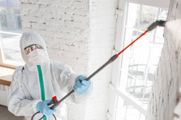 Best Mold Remediation for Specific Building Types in Cecil Bishop, PA